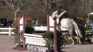 Video of GANDALF ridden by CATHERINE CHARTIER from ShowNet!