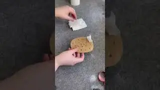 Snuffle mat for hamsters - easy DIY tutorial