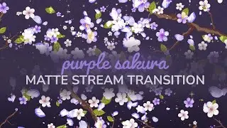 Purple Sakura Cherry Blossom Matte Stream Transition &ndash; OBS & Streamlabs Twitch Stinger