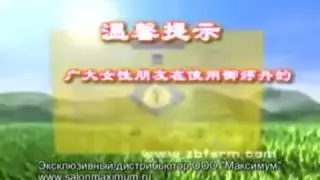 Фитотампоны Clean Point