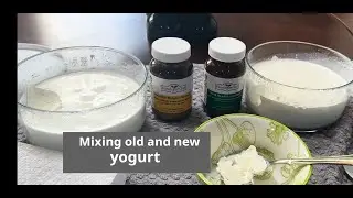 Mixing new and old yogurt