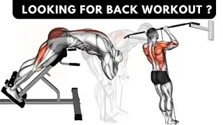 Ultimate Back Workout Guide | Build Strength, Definition, and Muscle Growth | Fitness Arena