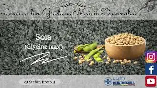 Leacuri din Grădina Maicii Domnului - Soia