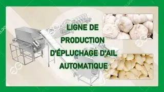 MACHINES AUTOMATIQUES &Agrave; &Eacute;PLUCHER ET &Agrave; LAVER L'AIL - ENTREPRISE DE TRANSFORMATION DE L'AIL