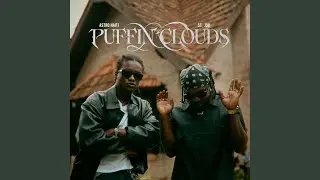 Puffin Clouds