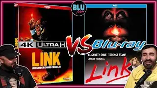 LINK 4K vs BLU-RAY | STUDIO CANAL vs KINO LORBER | 4K Kings Compare Elizabeth Shue, a Chimp, & More!