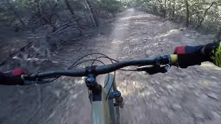 MTB bald trail, Georgetown CA.