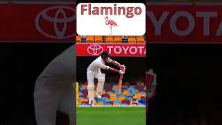 Why You Need to Defend in Cricket #shorts #shortscricket #cricket