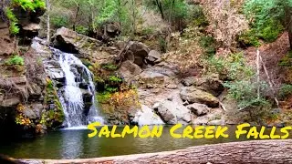 Hiking to Upper and Lower Salmon Creek Falls in Big Sur