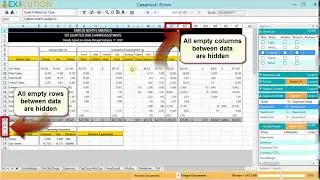 Auto-hide empty rows and columns in Exolution - Native Excel File Redaction Software