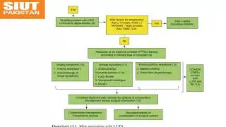 Urology Journal Club at SIUT on 13th February 2020, Male Lower Urinary Tract Symptoms