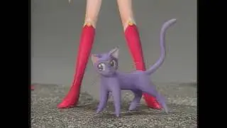 Sailor Moon Laser Disc Bonus - Volume 6 - Cute Models