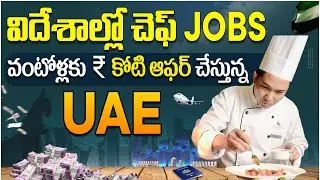 Vacancies For Chefs in Overseas | Chef Jobs in UAE Singapore and Malaysia | SocialPost Job portal