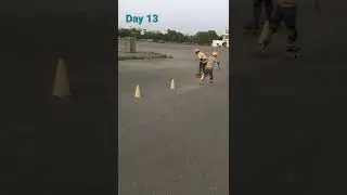 skates champion