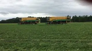 Ploger tractors harvesting