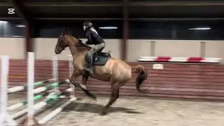SPRINGUNDERVISNING d. 10/12