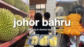 a short day trip to johor bahru | durian hunting, seafood dinner, car wash, groceries