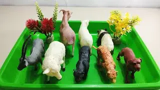 Cow Giraffe Elephant Tiger Panda Rhinoceros Animal Toys, ASMR