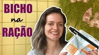 Ração com bicho, como evitar e como guardar a ração corretamente - Veterinária explica