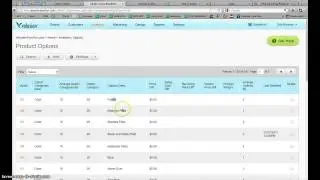 Volusion web builder different price for product options