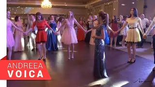 Andreea Voica - Marinela & Cosmin (BORLOVA 2018 ) partea 1