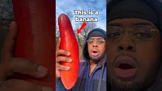 I found the RAREST banana in NYC🥶..#exoticfruit #rarefruits #shorts #novafruithustler #foodie