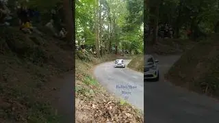 120 4↖️ #rallyemontblanc #wrc2 #wrc  #automobile #rallye #rallyesports #rallycar #rallyfan #racing