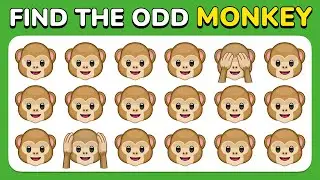 Find the ODD One Out - Animals Edition 🐶🦊🐼 | 40 Ultimate Levels - Easy, Medium, Hard