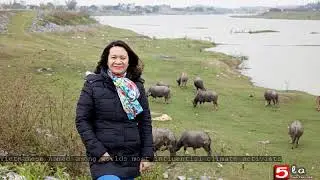 Vietnamese named among world's most influential climate activists