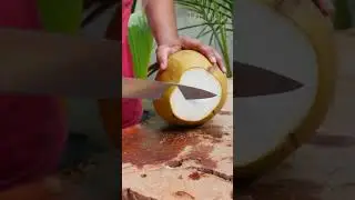 Coconut Cutting | Coconut Cutting skills | Coconut Cutting style