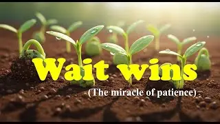 The Miracle of Patience | A Life-Changing Motivational Story That Will Calm Your Mind