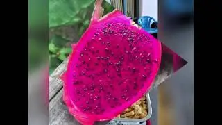 We are supply fruits for functions 