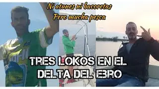 en busca de atunes! caballas y jureles en el Delta del Ebro #pesca #spinningfishing #brumeo