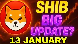 Shibainu Coin (13 января) Новое крупное обновление 😍 Новое обновление Shibainu Coin сегодня | Shi...
