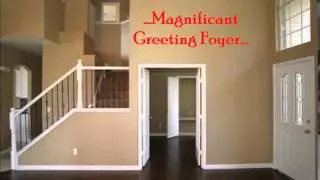 Award winning review NIS Construction Dallas Texas