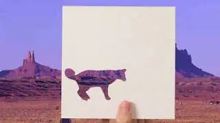 Big Cat Month on National Geographic
