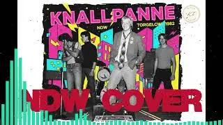 Knallpanne - Totales Chaos (REMIX 2025) ELEKTRO - NDW aus Torgelow mit Klaus Falk feat. Freunde