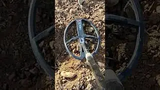 #metaldetecting #находки  металлоискателем #находки #coin #коллекционирование