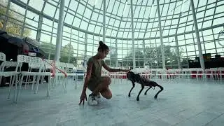 Robotic Dog | AI Future of life #Robotics #Fun #Interaction #Technology #AI #machinelearning