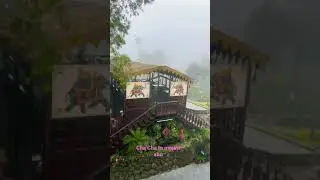 Cha cha In hotel mount abu 🏨 #travel #nature #hills #winter