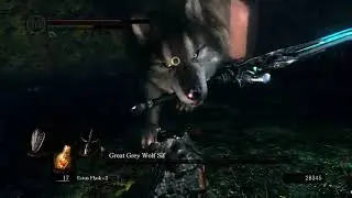 Dark Souls - Сиф