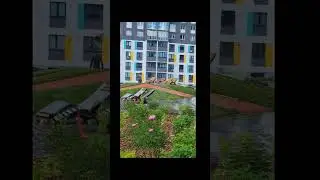 Landscape Desing ideas\ Best ideas for garden and landscape 147 #shorts 13