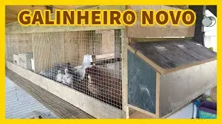 Construindo viveiro/baia para galinhas e pintinhos | Coração Campeiro