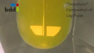 OralogiK. Perfect Drug Release. Every Time