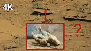 NASA's Mars Perseverance Rover Sends Latest Unexpected Shocking Footage of Mars Life ! NASA News