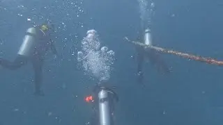 Cairns SCUBA 2026