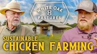 Regenerative Chicken Farming | Ep. 3 | White Oak Pastures