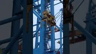 #ports #container #containership #terminal #vessel #sts #crane #ship #trading #viral #zpmc #rtg