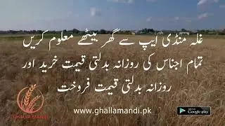Ghalla Mandi Rates online android App
