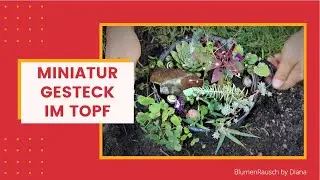 DIY - Dekoration | Miniatur Gesteck im Topf selber machen